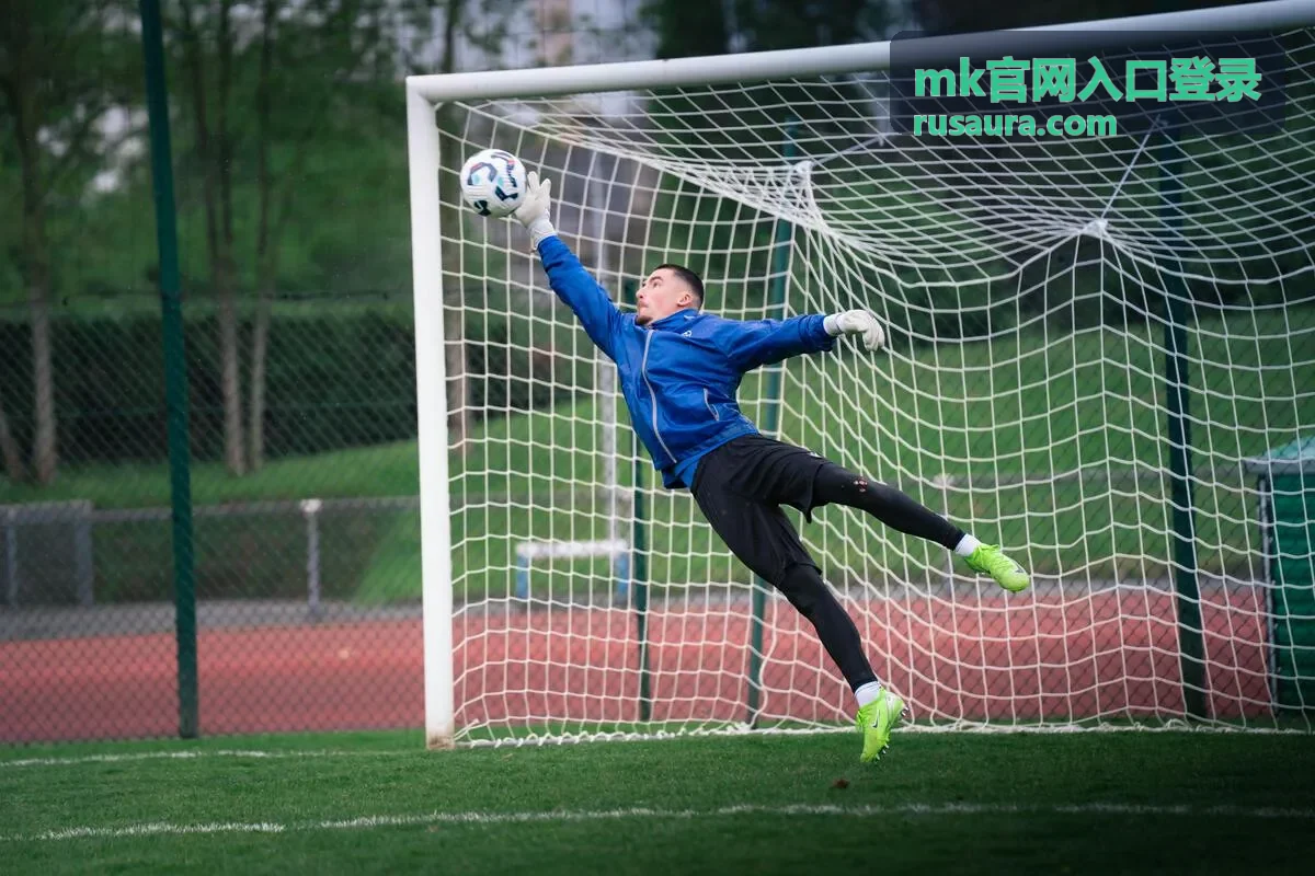 mk官网入口登录 验证方式与安全校验示意